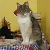 Отзыв от Екатерина Тарасова